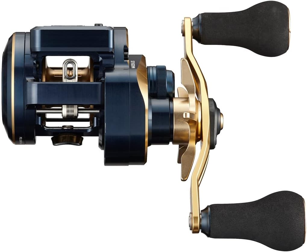 Daiwa - 21 SALTIGA IC 100PL-DH