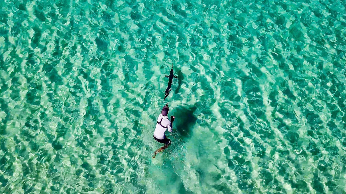 Zenaq - Fokeeto FC73-3 Twitch