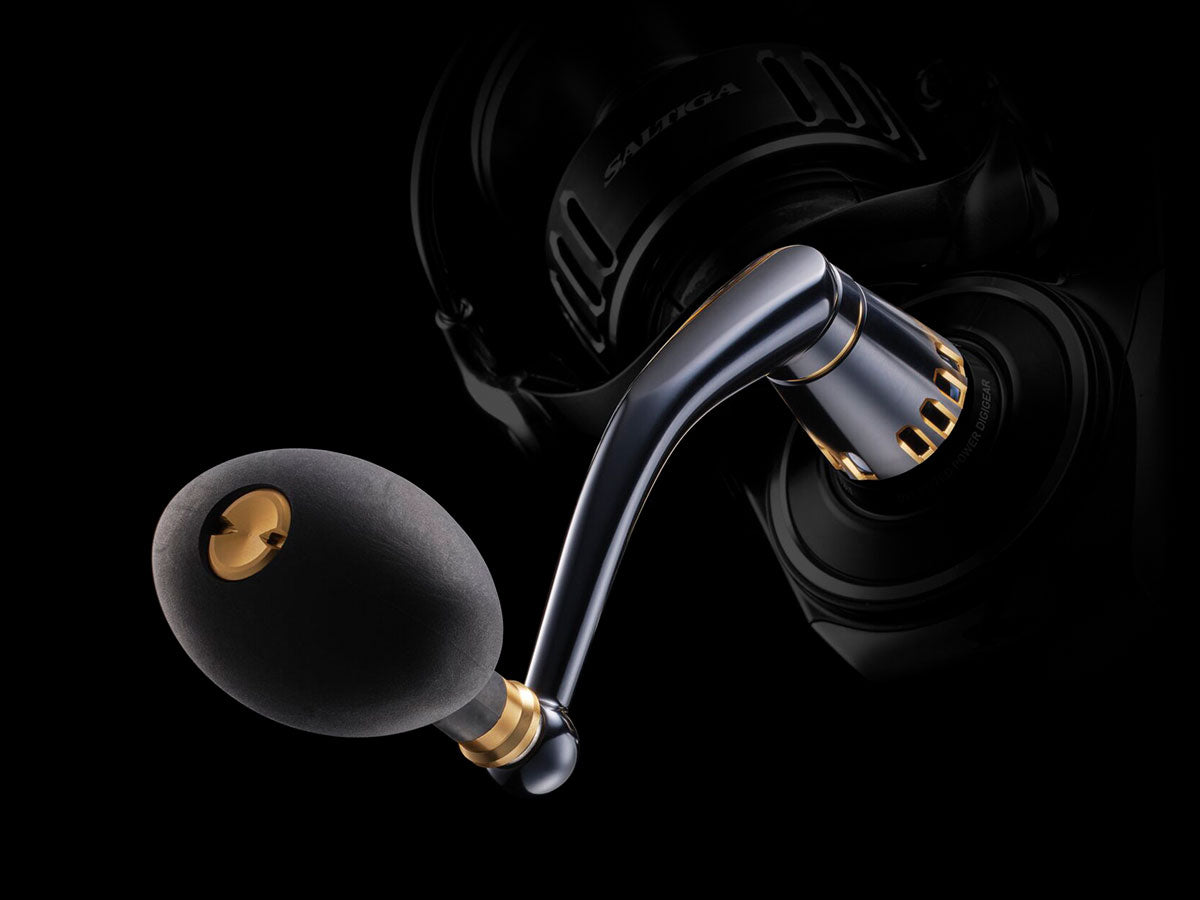 Daiwa - 25 SALTIGA 18000-H