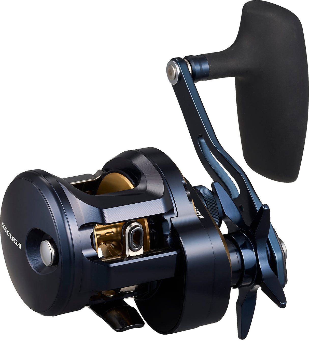 Daiwa - 25 SALTIGA 300L