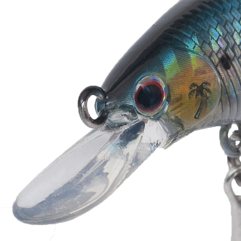 Palms - AX Shade 50S