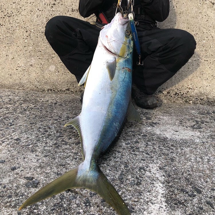 Ripple Fisher - RunnerExceed 102M Plug Nano Topwater Rod