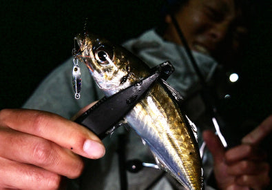 Hayabusa - Jack Eye Mame Hirarin