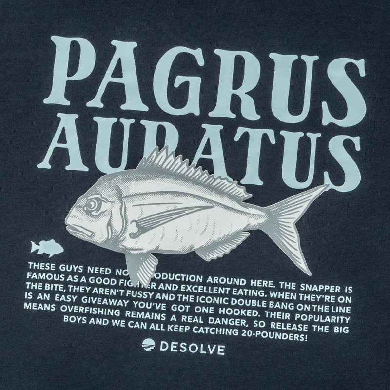 Desolve - Auratus Hoodie