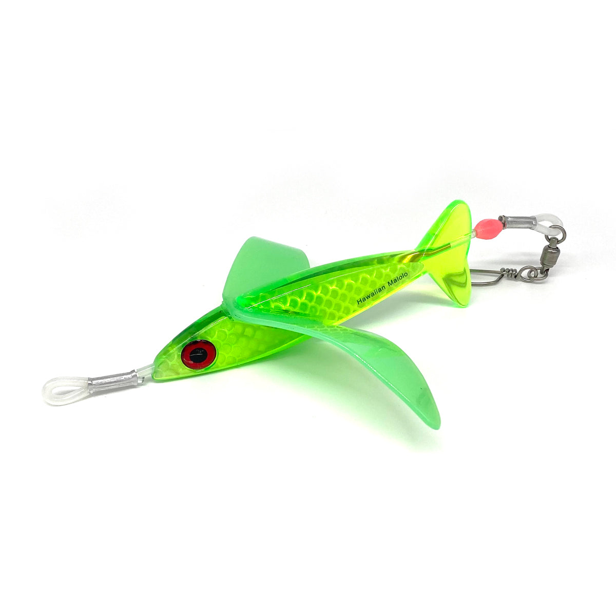 Bonze - Hawaiian Malolo Bird Teaser