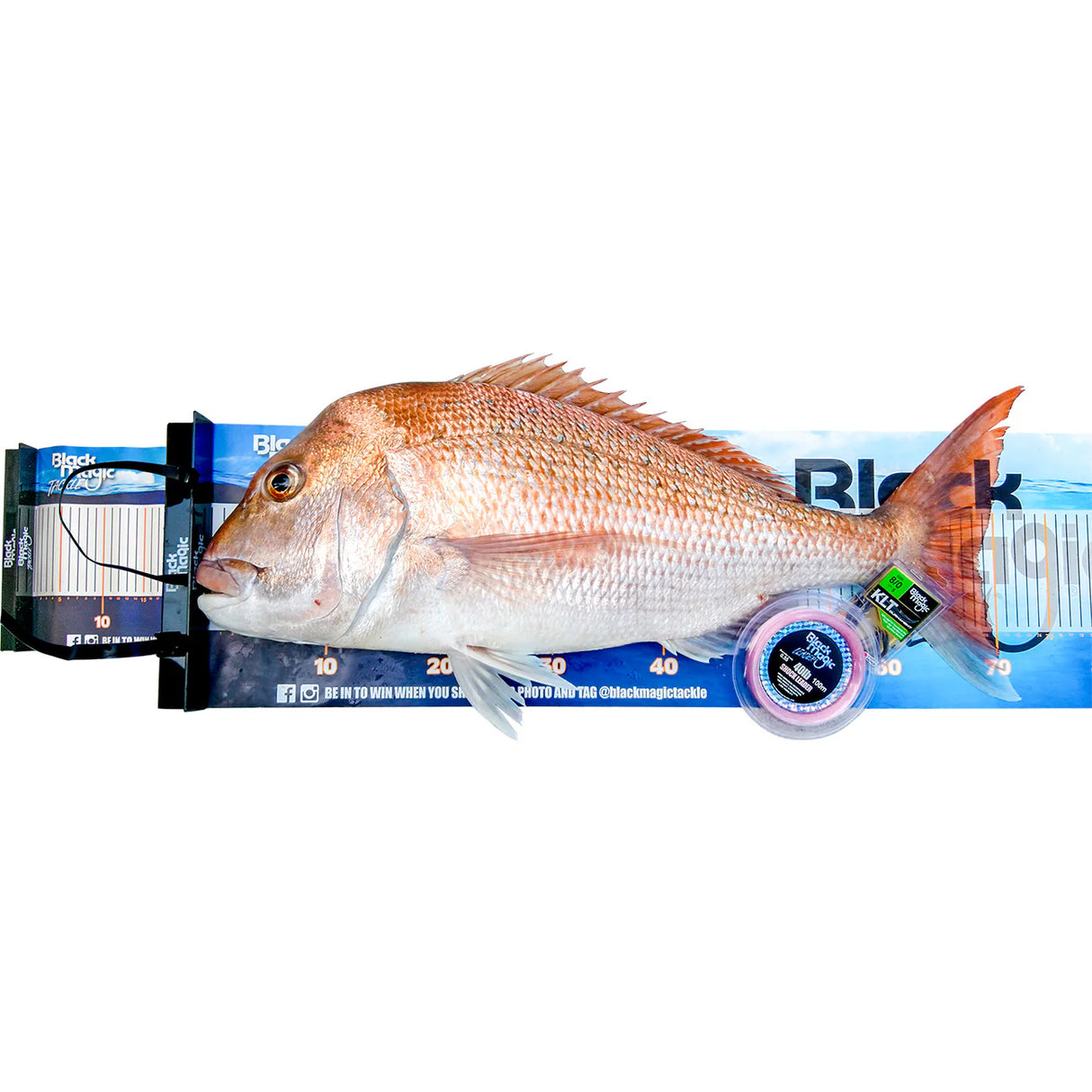 Black Magic - Brag Mat