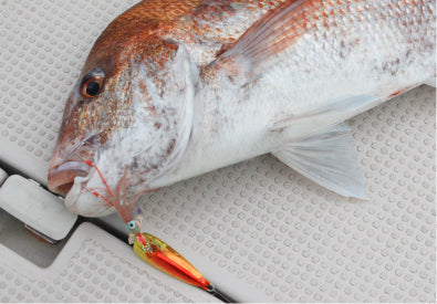 Hayabusa - Jack Eye Kick Bottom