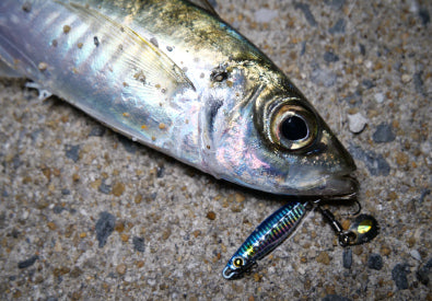 Hayabusa - Jack Eye Mame Makimaki