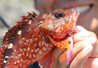 Hayabusa - Jack Eye Hirarin