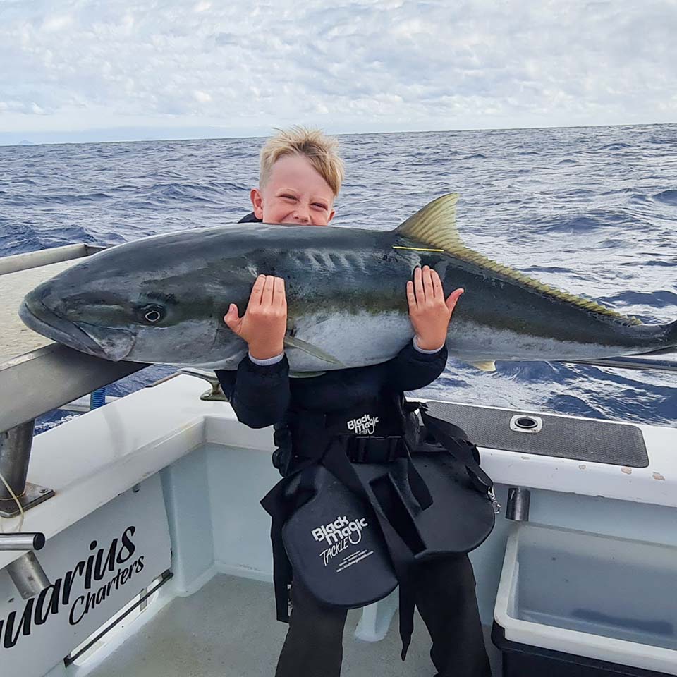 Black Magic - Gimbal Belt