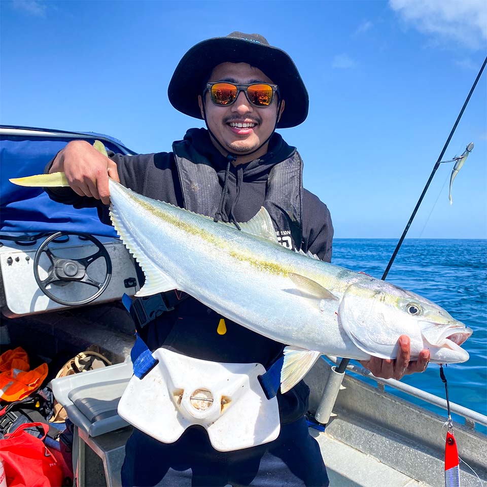 Wasabi - Large Gimbal Belt