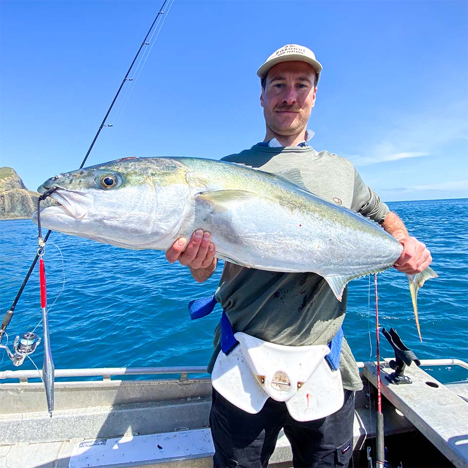 Wasabi - Large Gimbal Belt