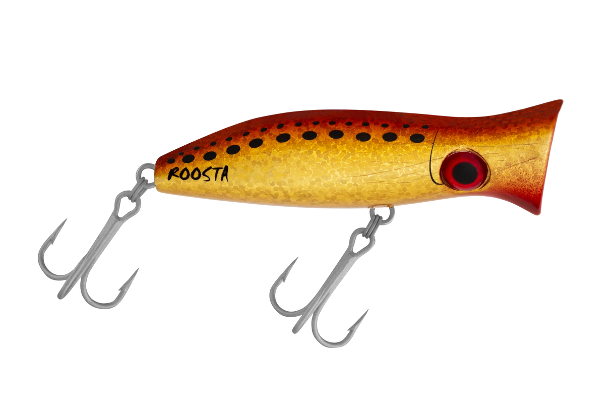 Halco - Roosta Popper 80