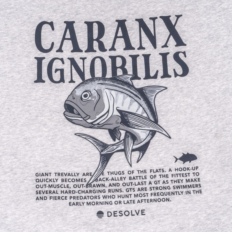 Desolve - Ignobilis Hoodie