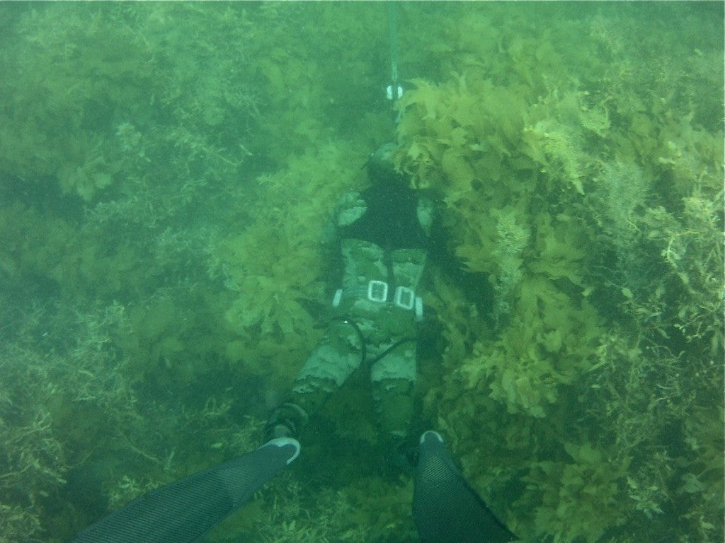 Rob Allen - Scorpia 5mm Wetsuit