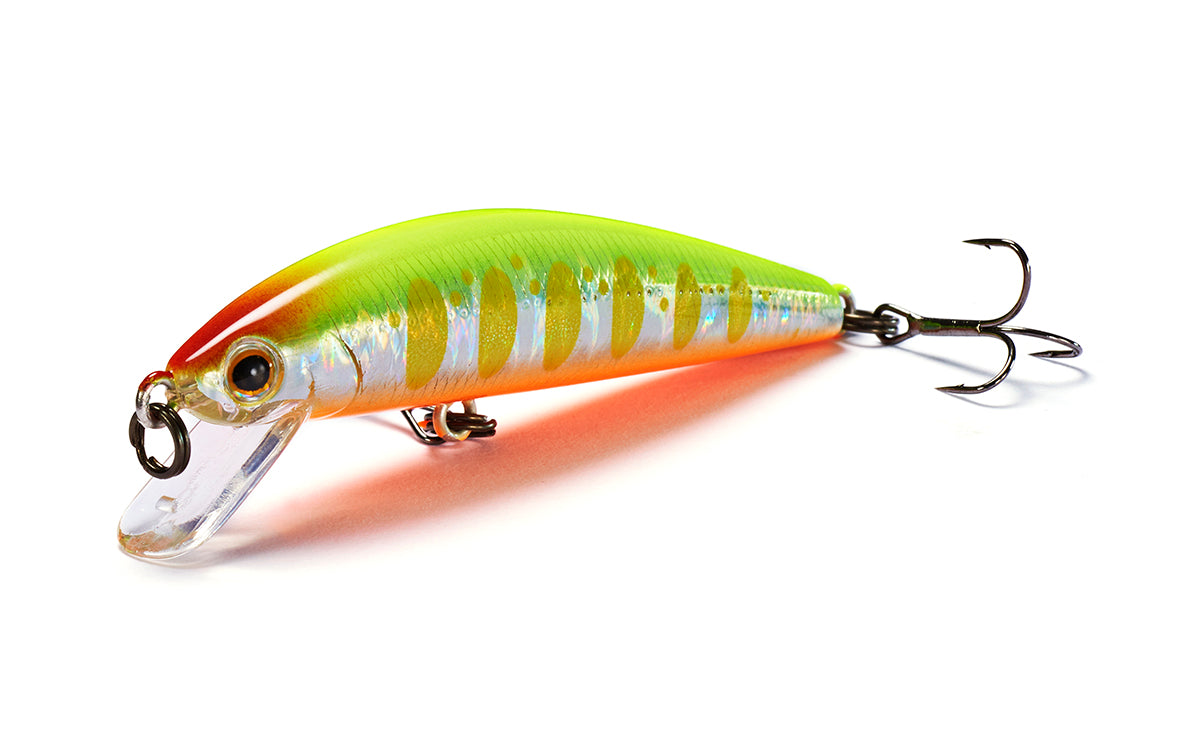 Jackson - Trout Tune