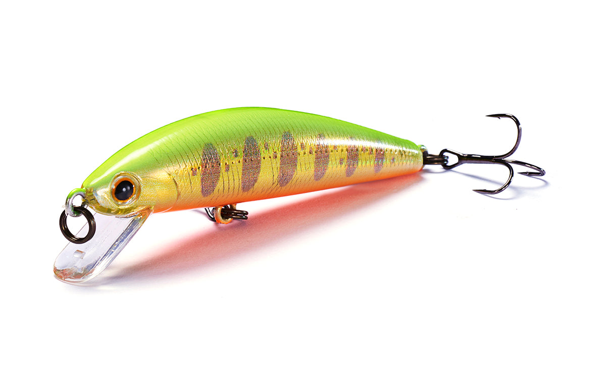 Jackson - Trout Tune