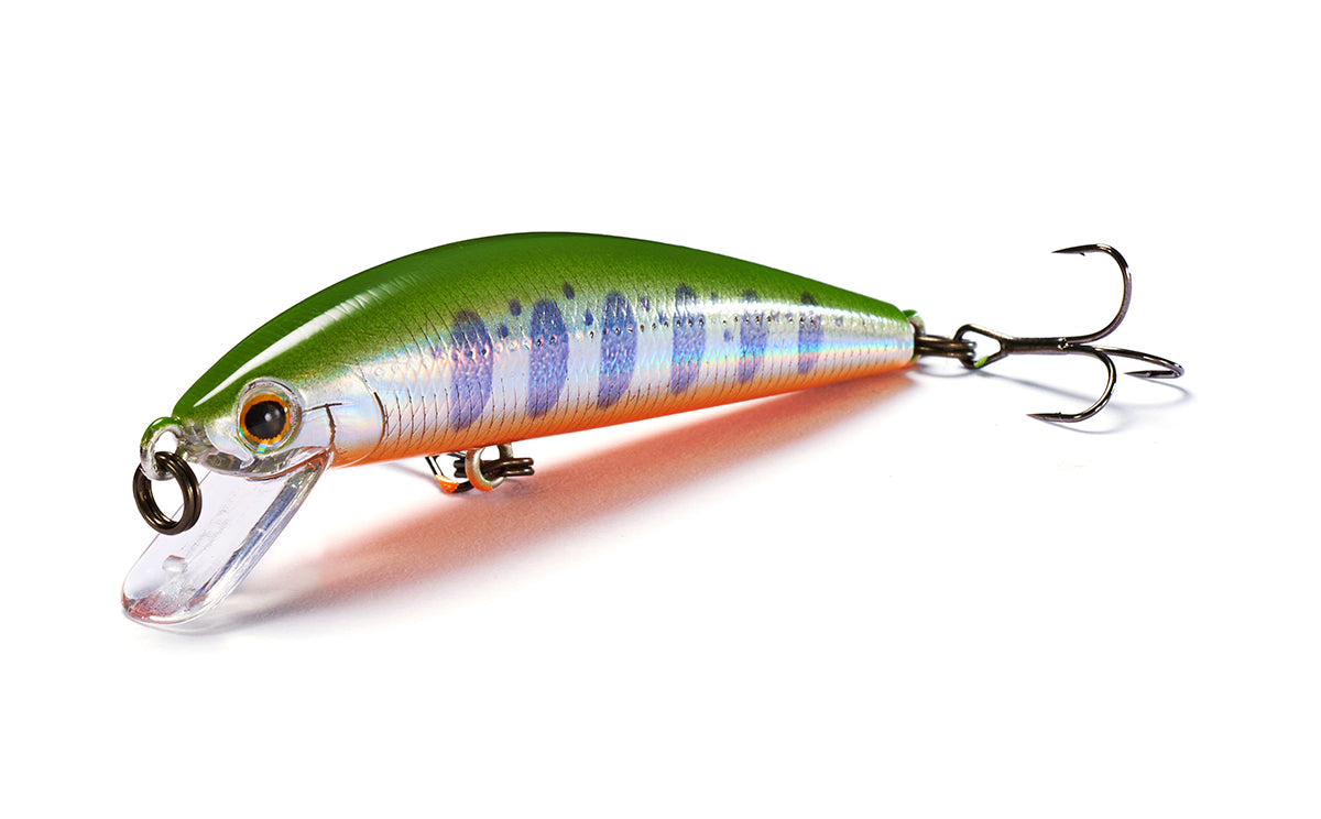 Jackson - Trout Tune