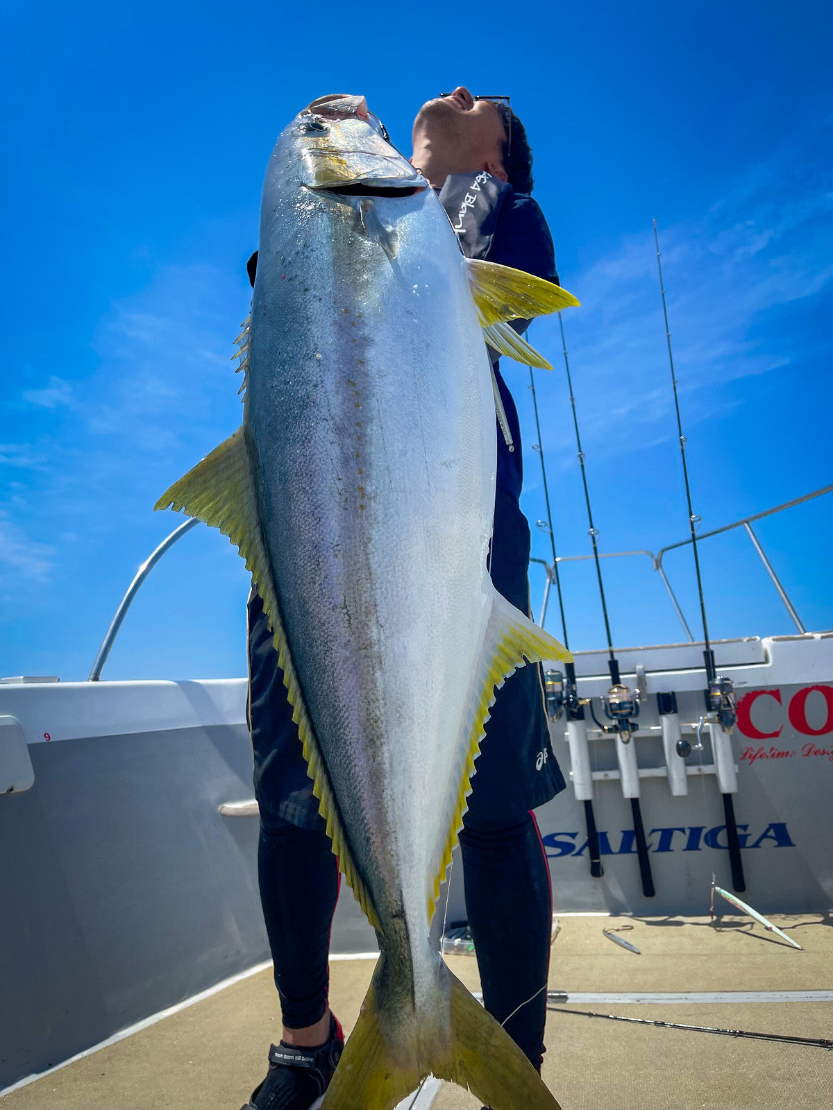 Yamaga Blanks - Galahad 624B