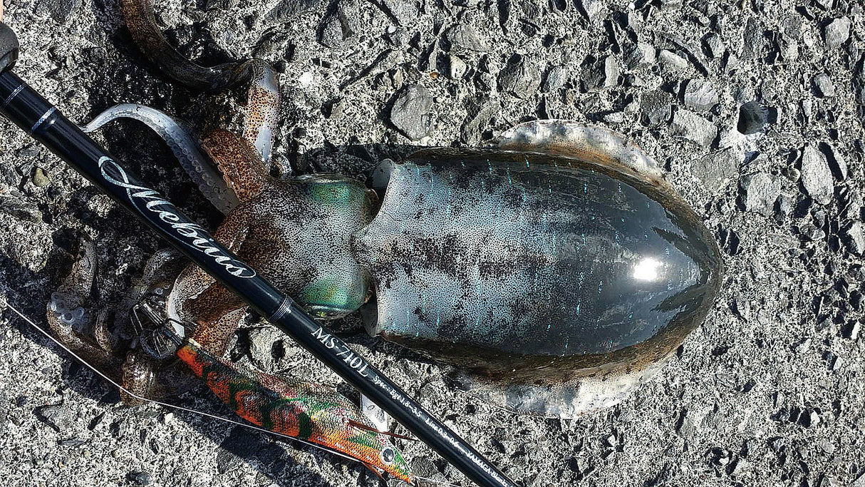 Yamaga Blanks - Mebius 710L