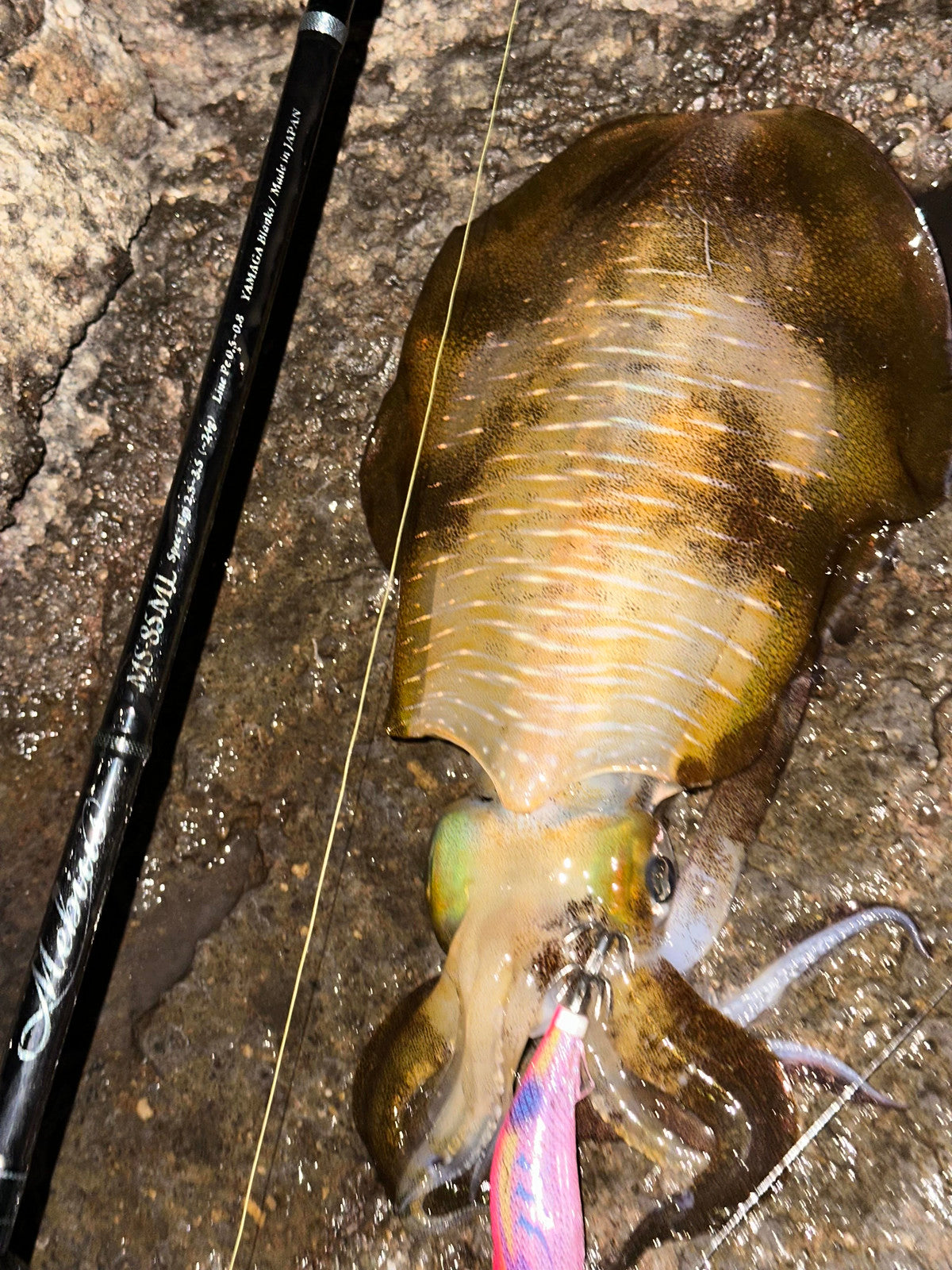 Yamaga Blanks - Mebius 85ML