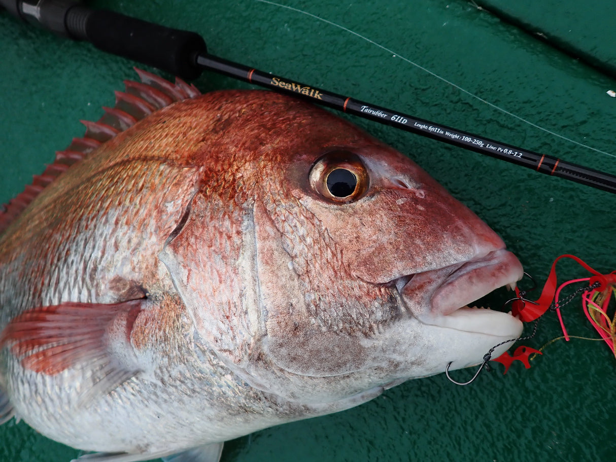 Yamaga Blanks - Sea Walk Tairubber 611D