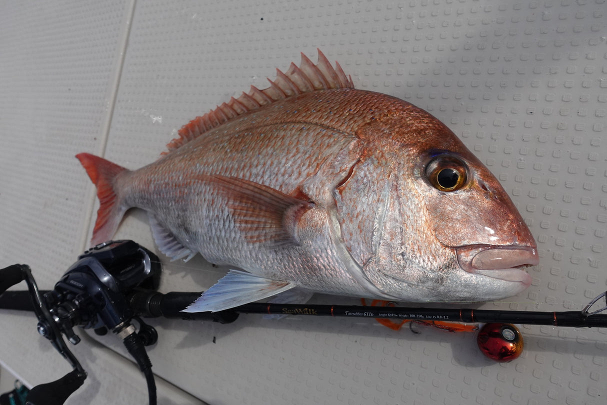 Yamaga Blanks - Sea Walk Tairubber 611D