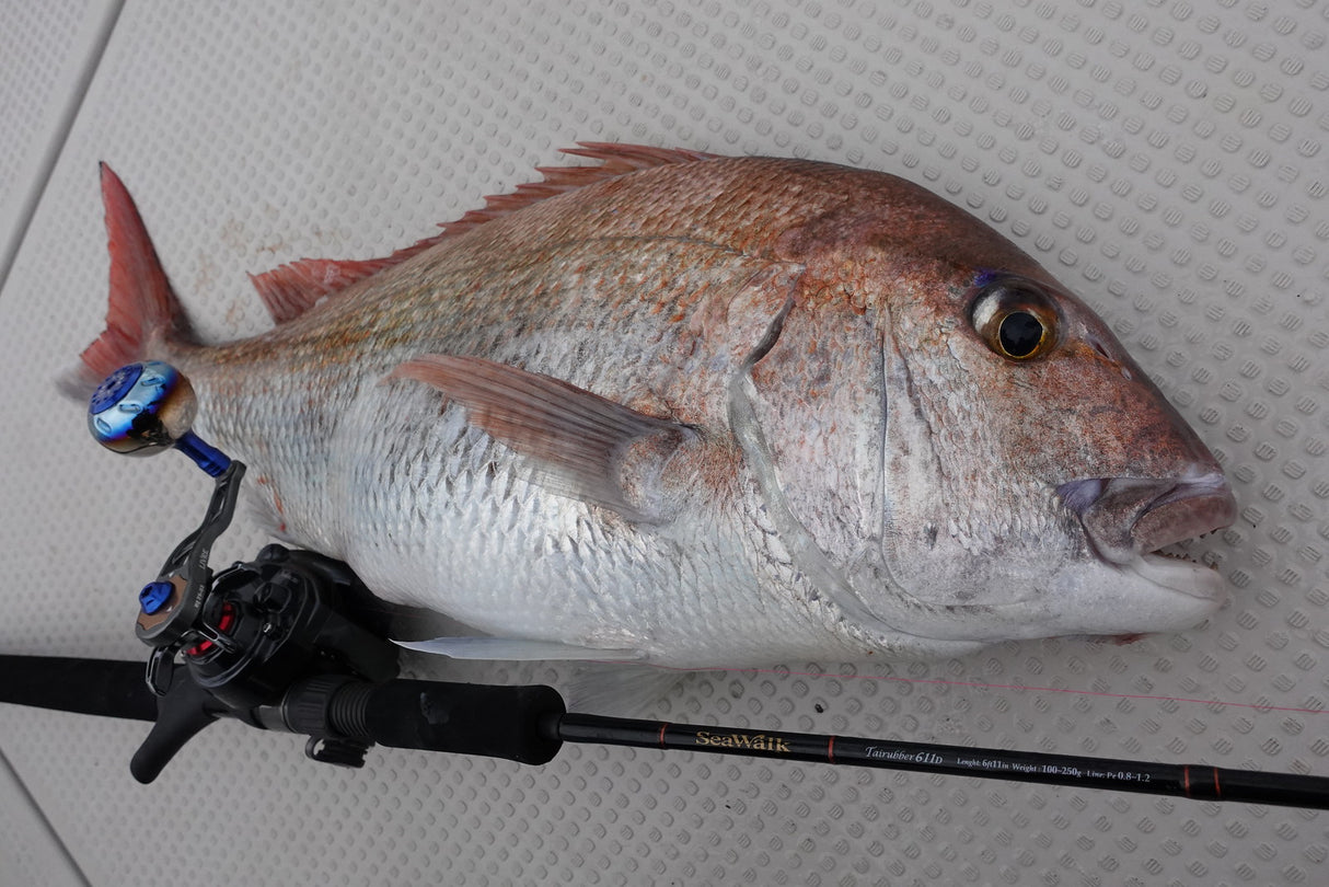 Yamaga Blanks - Sea Walk Tairubber 611D