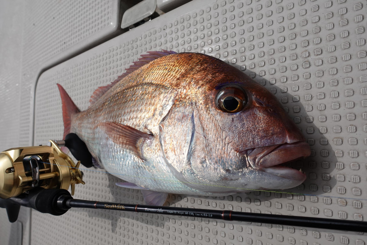 Yamaga Blanks - Sea Walk Tairubber 70AT