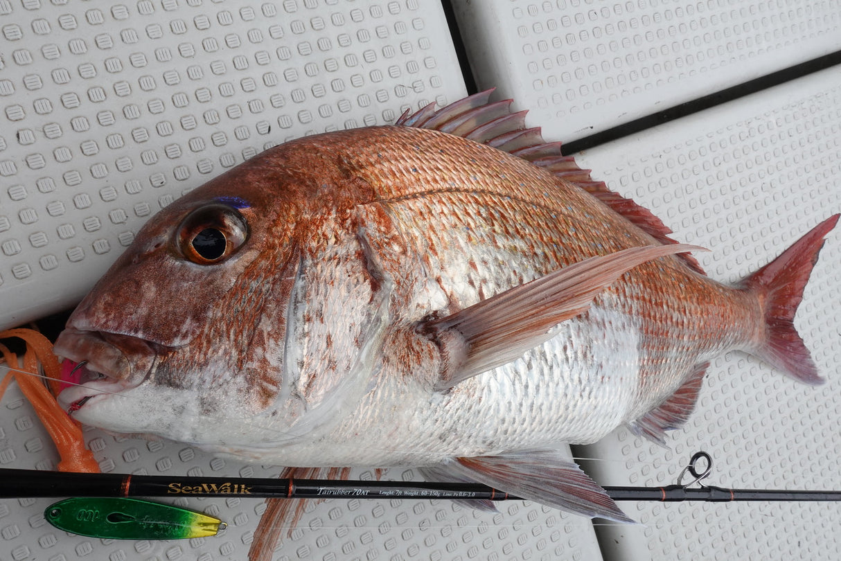 Yamaga Blanks - Sea Walk Tairubber 70AT