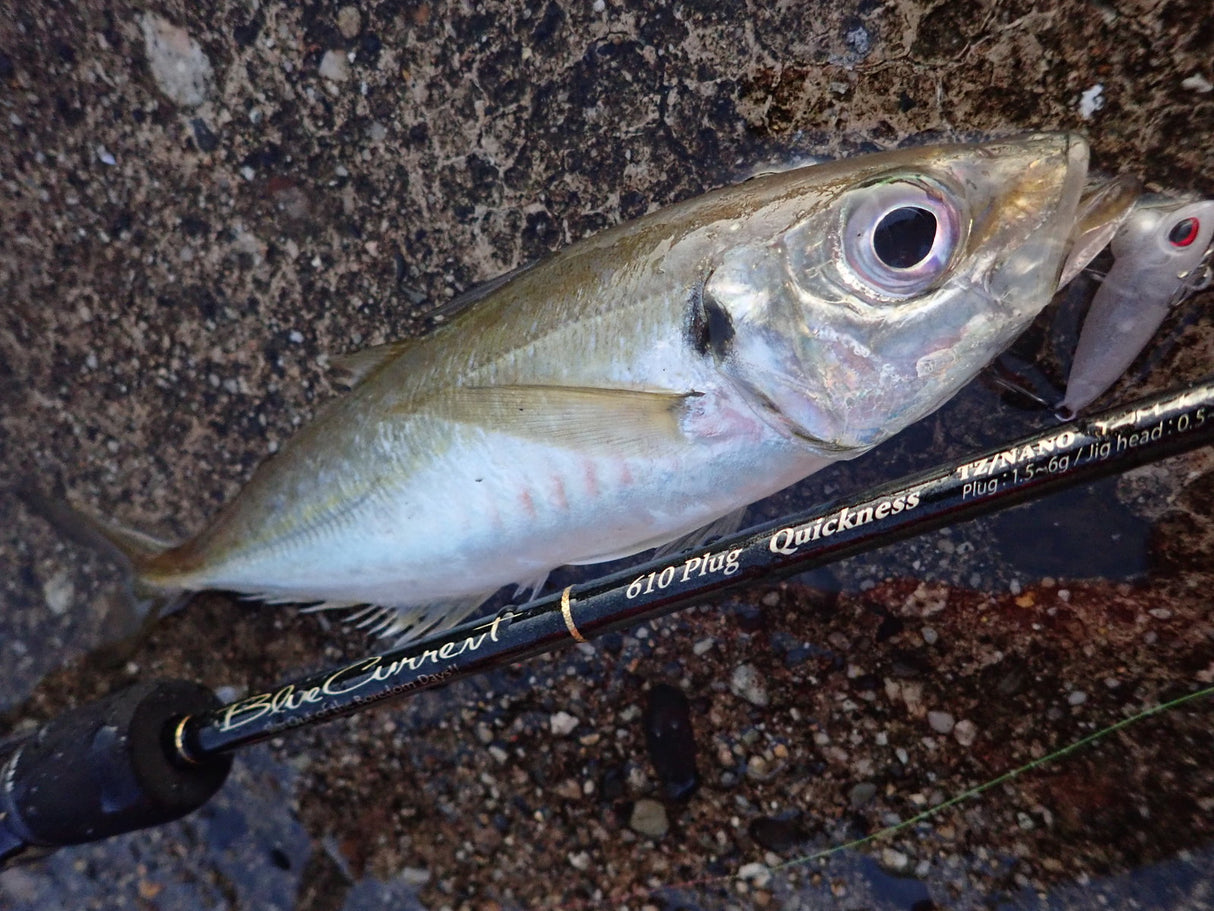 Yamaga Blanks - Blue Current 610 Plug TZ/Nano