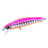 Pink Sardine