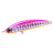 Pink Sardine