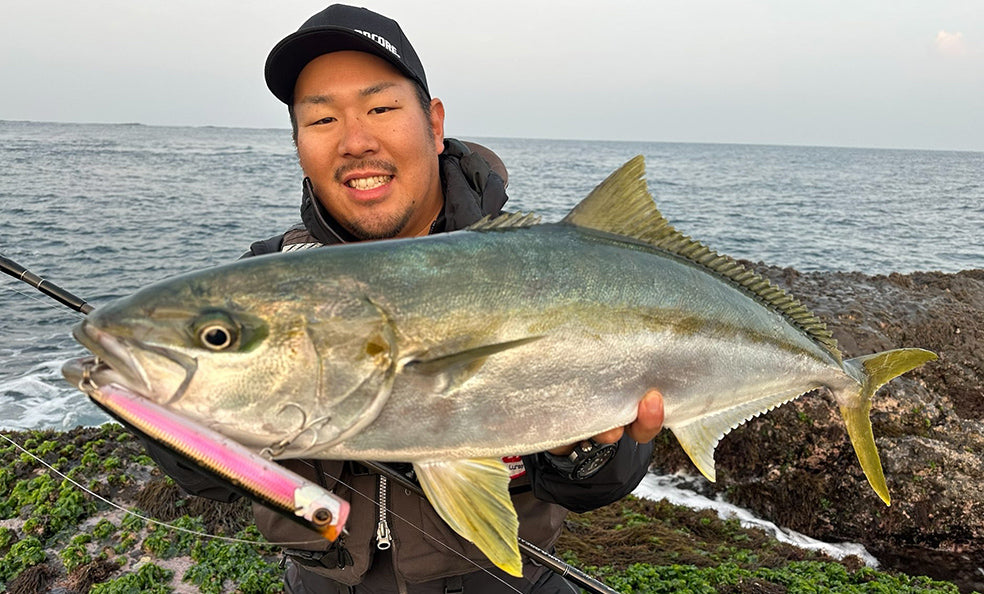 Hardcore - Sonic Boom SB Pop (F)