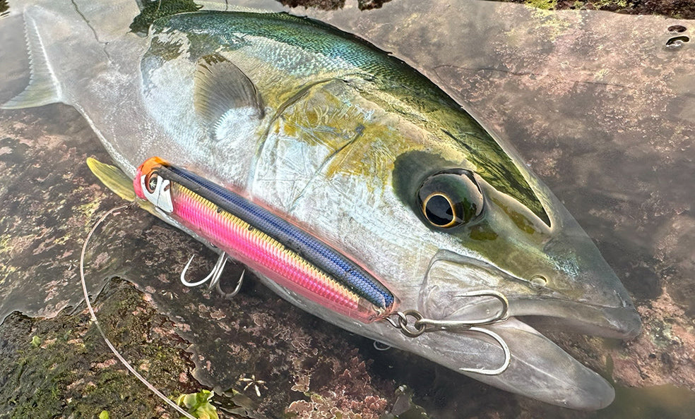 Hardcore - Sonic Boom SB Pop (F)