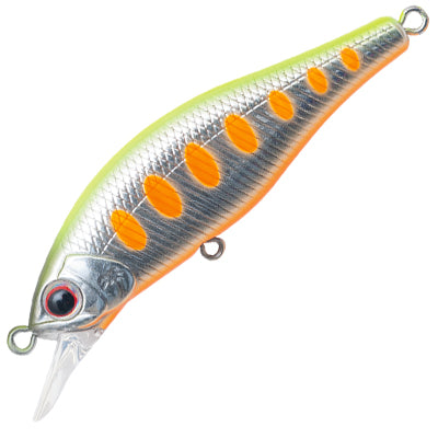 Palms - Alexandra 50HW