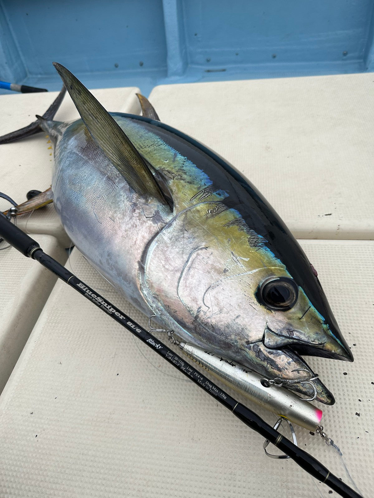 Yamaga Blanks - BlueSniper 81/6 Blacky Topwater Rod