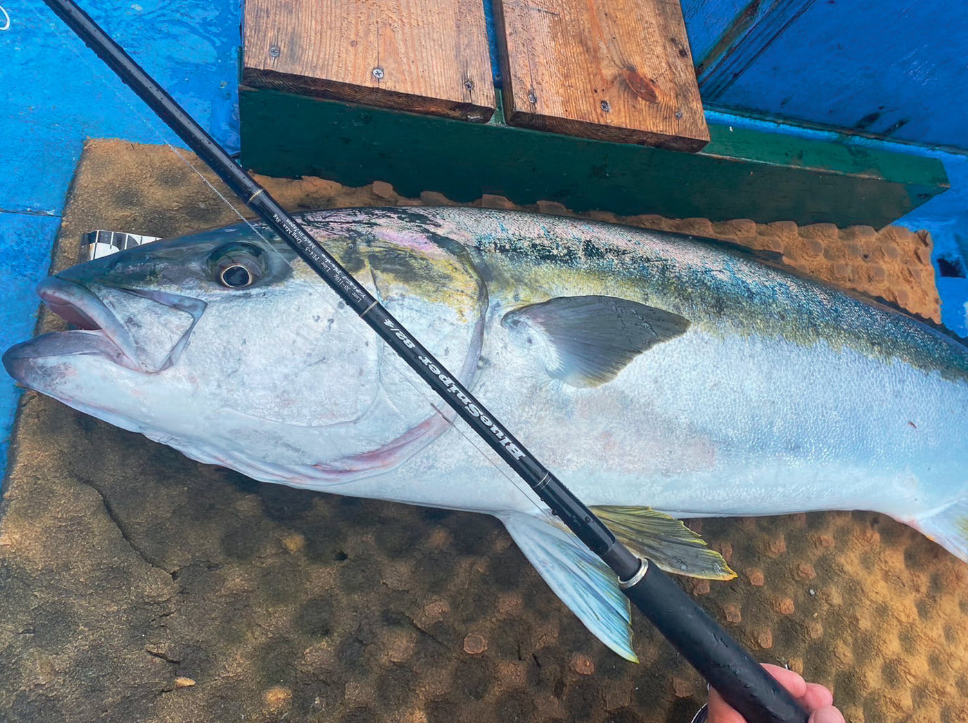 Yamaga Blanks - BlueSniper 82/4 Topwater Rod