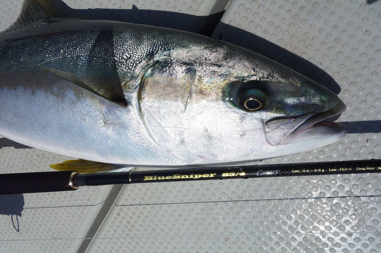 Yamaga Blanks - Blue Sniper 85/4 Canary