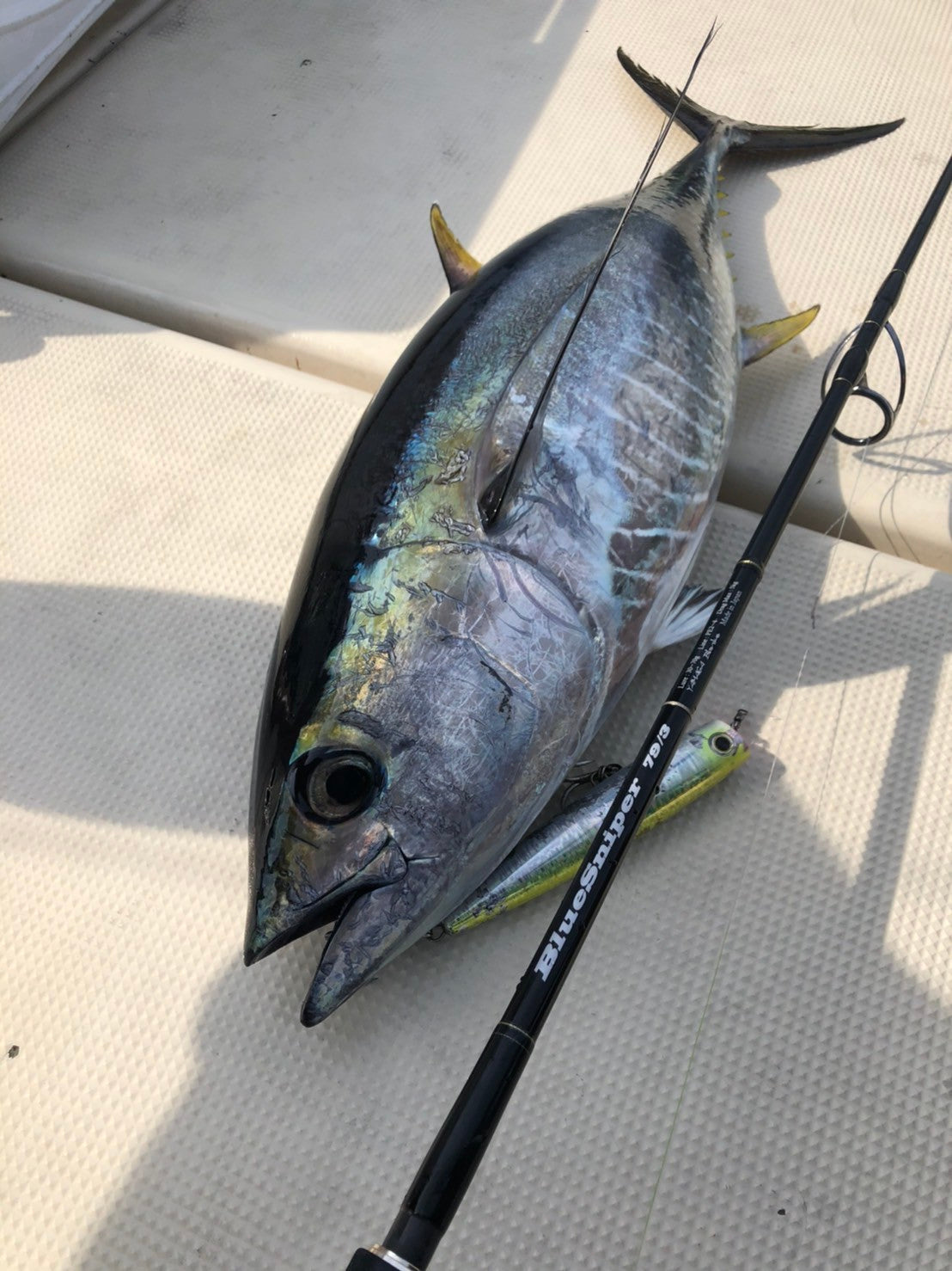 Yamaga Blanks - BlueSniper 79/5 RGD-MODE Boat Topwater Rod