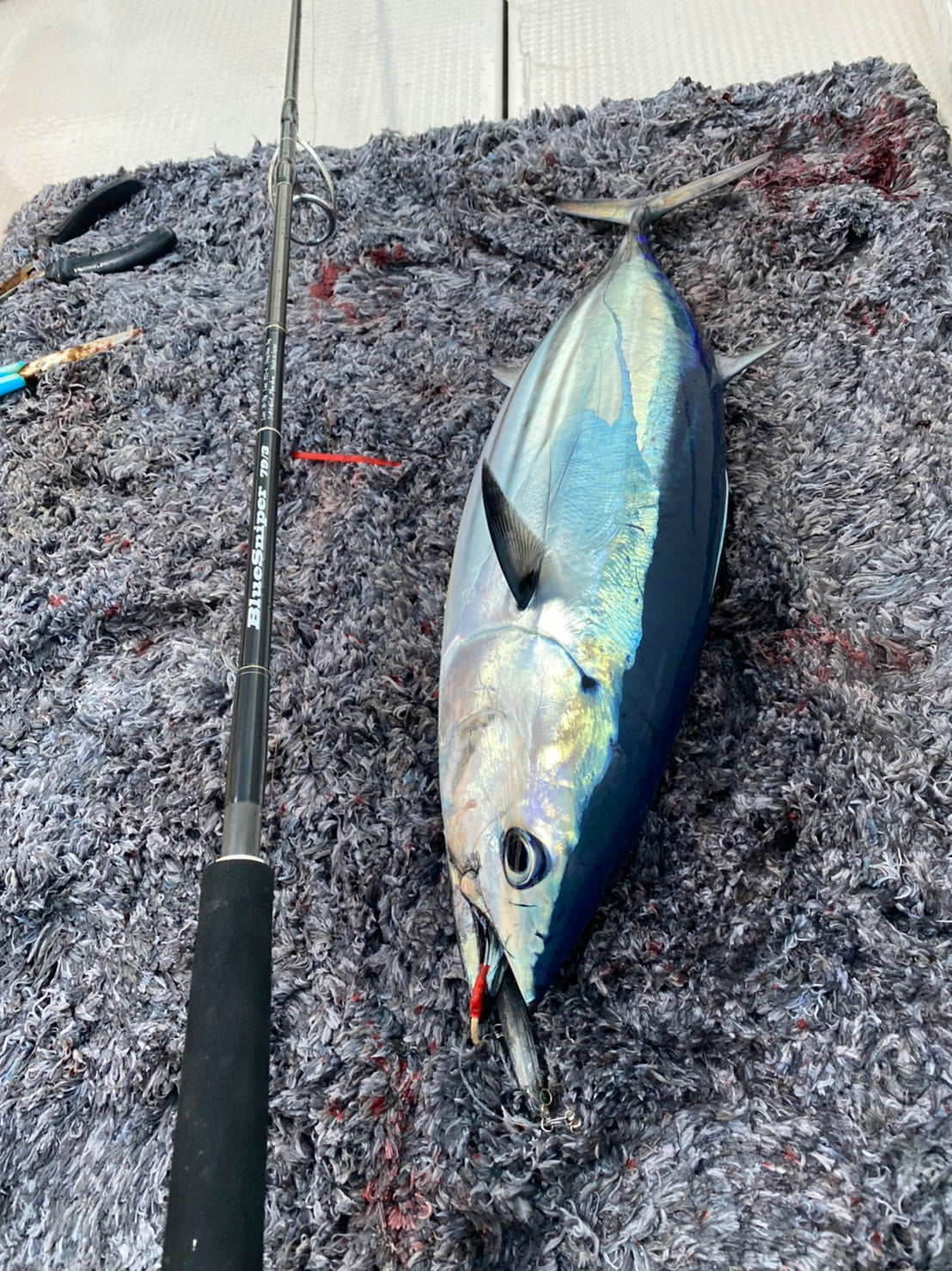 Yamaga Blanks - BlueSniper 79/5 RGD-MODE Boat Topwater Rod