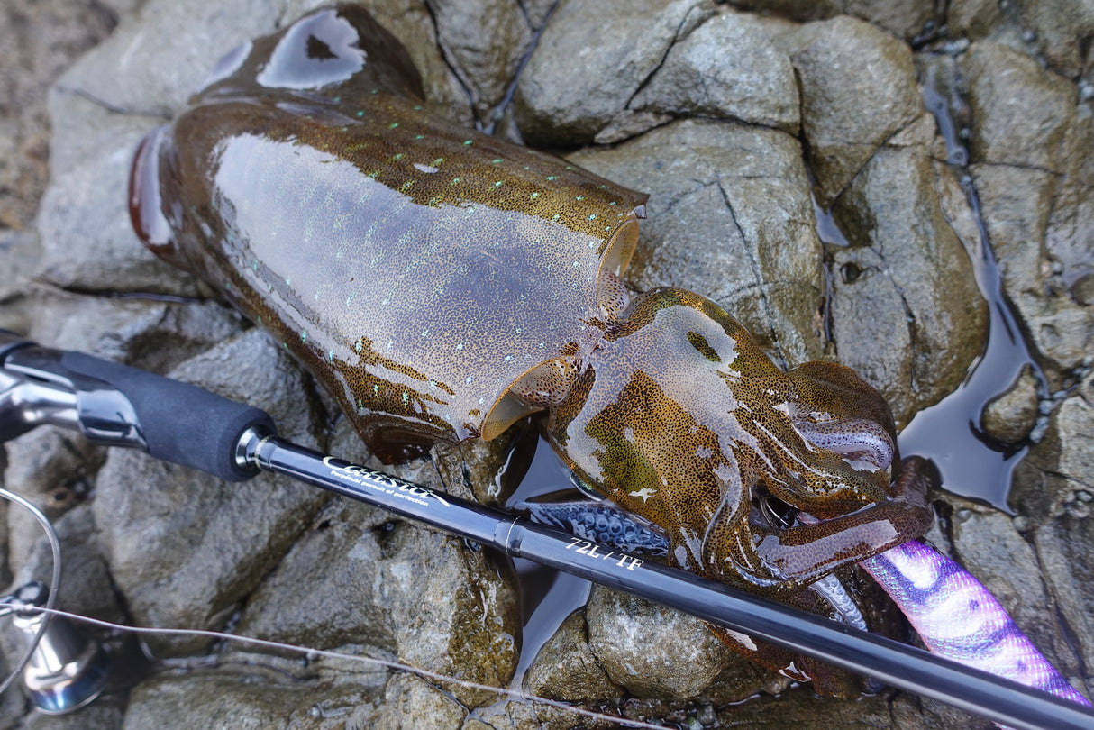 Yamaga Blanks - Calista 72L/TF Squid Rod
