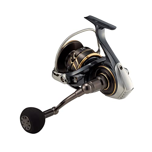 Daiwa - 22 CALDIA SW 10000-H