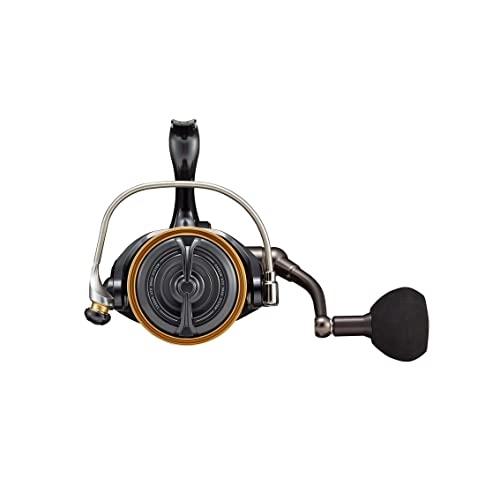 Daiwa - 22 CALDIA SW 10000-H