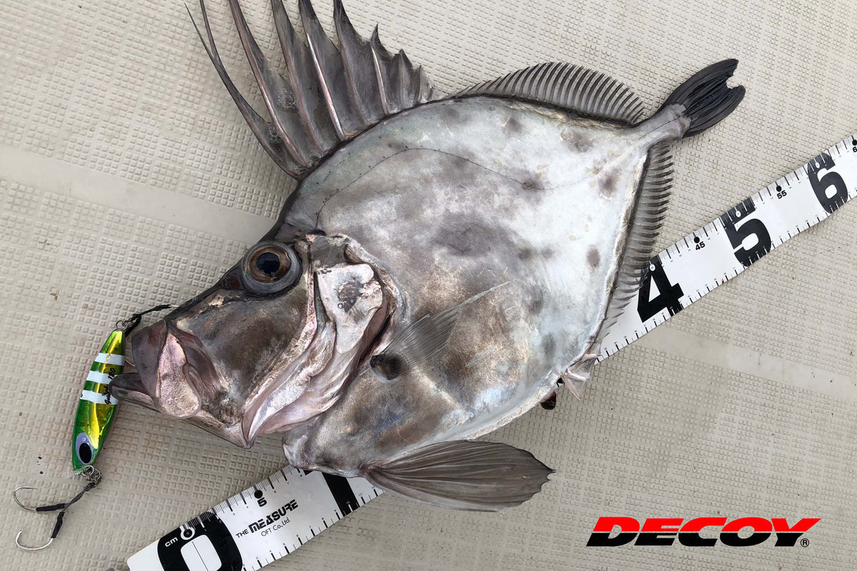 Decoy - Twin Pike Shorter