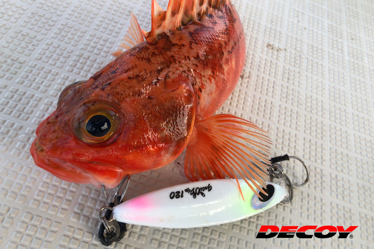 Decoy - Twin Pike Shorter