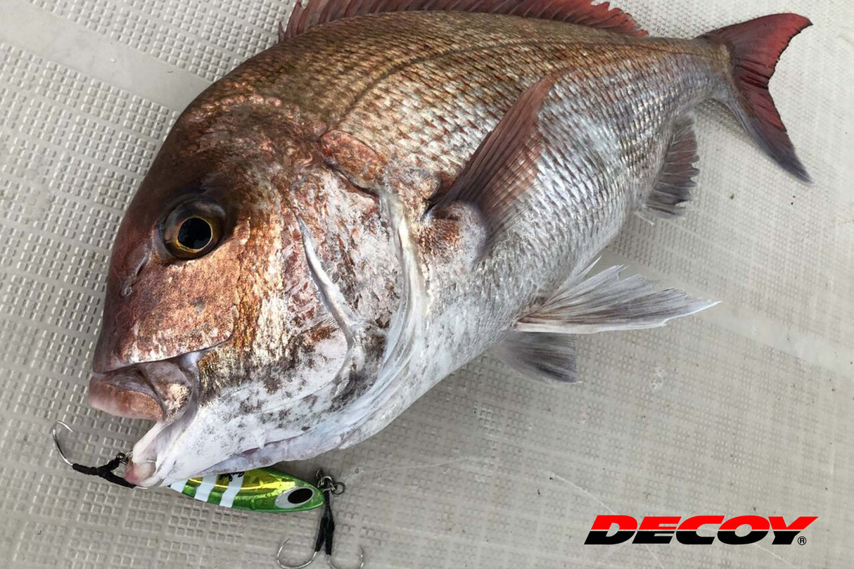 Decoy - Twin Pike Shorter