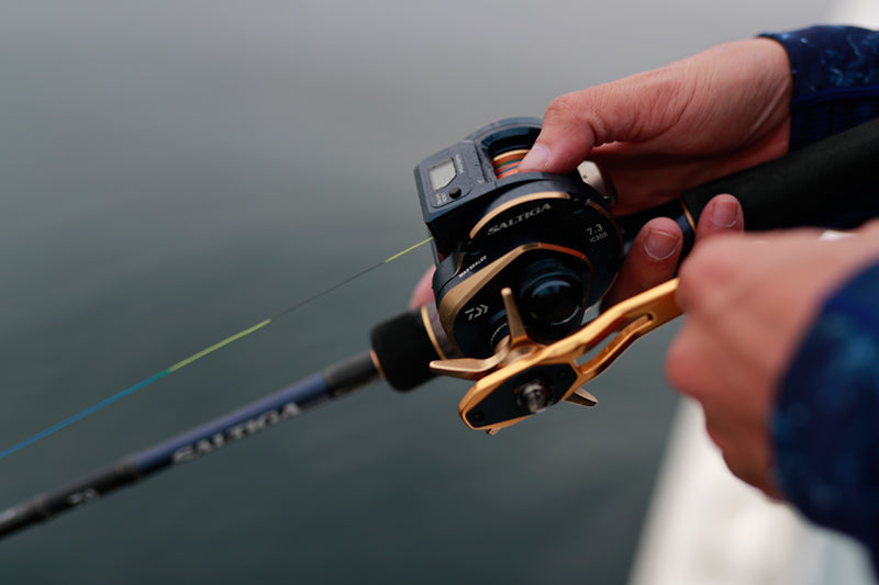 Daiwa - 21 SALTIGA IC 100HL-DH
