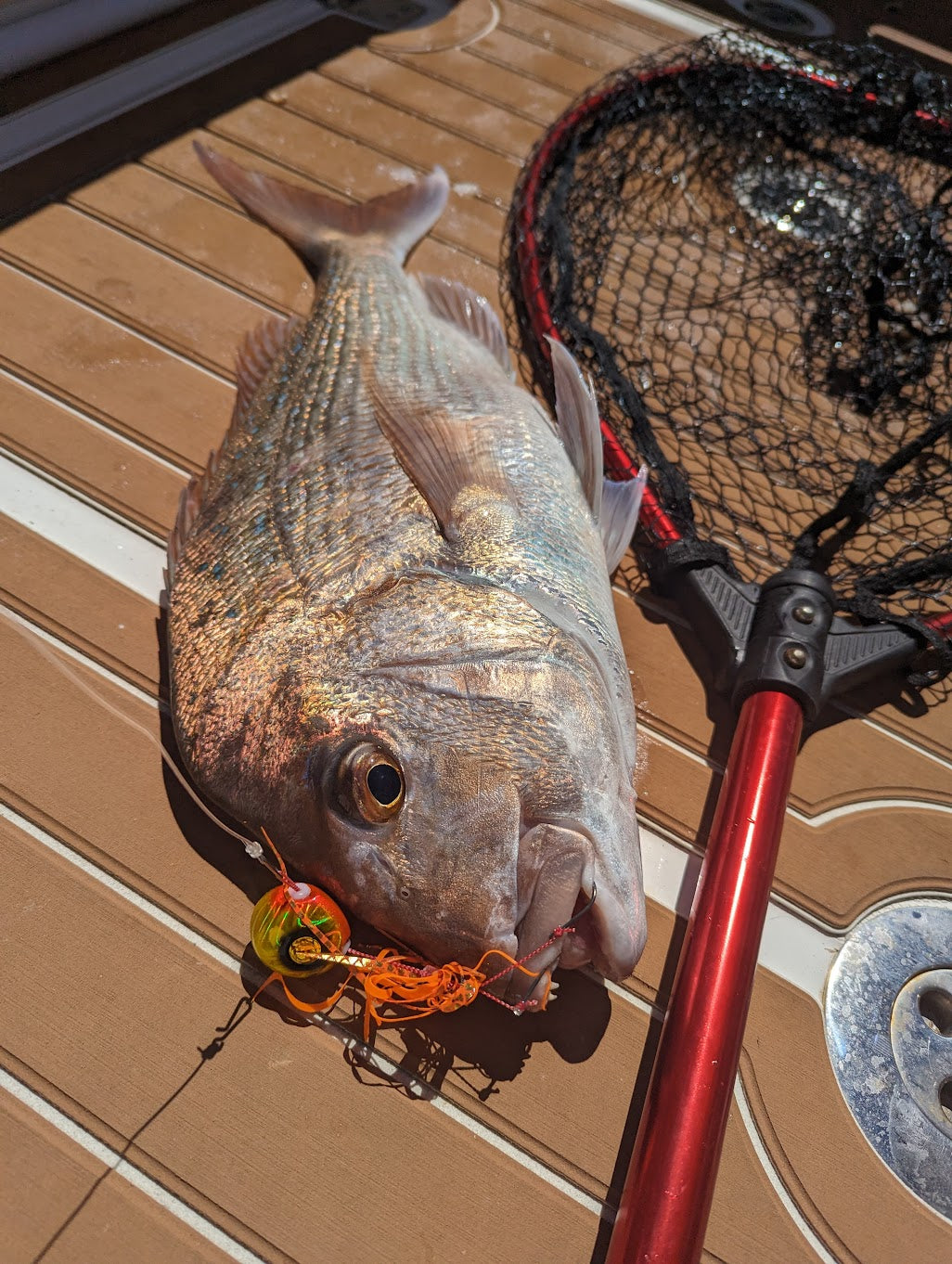 Hayabusa - Free Slide VS+