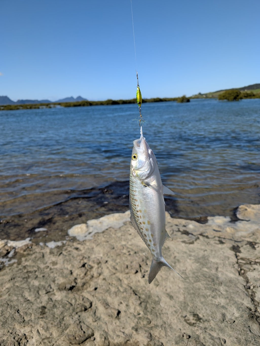 Hayabusa - Jack Eye Hirarin